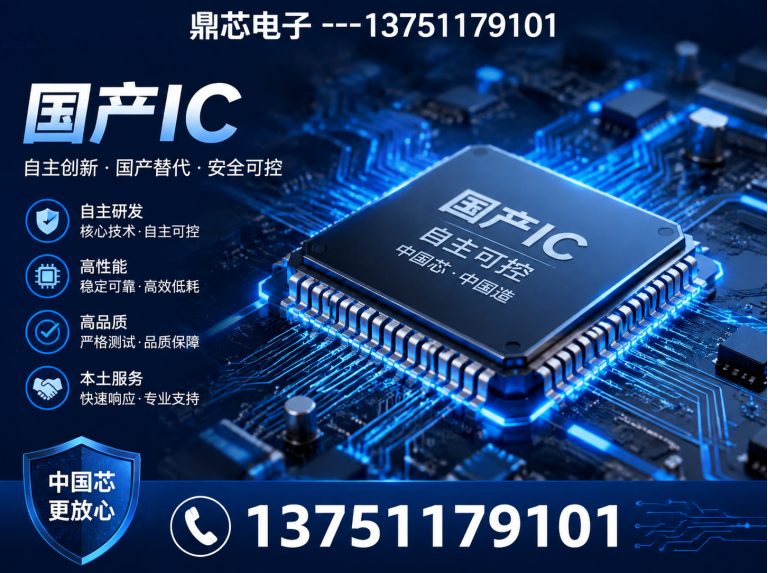 乐东存储芯片展示图