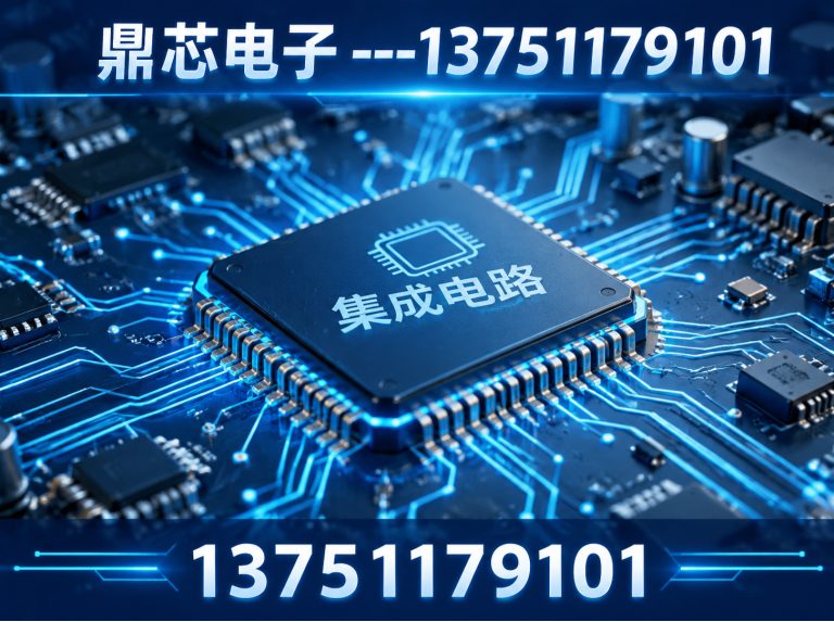 乐东AC-DC展示图